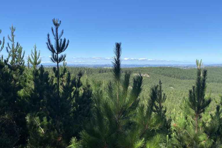 Photo of property in 684 Blackbridge Road, Waitoki, Kaukapakapa, 0871