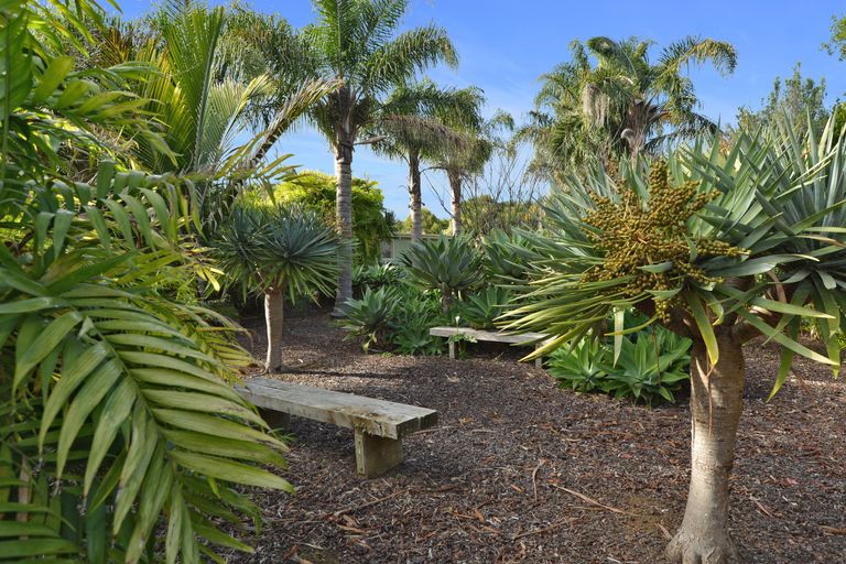 Photo of property in 17 Karaka Drive, Kerikeri, 0230