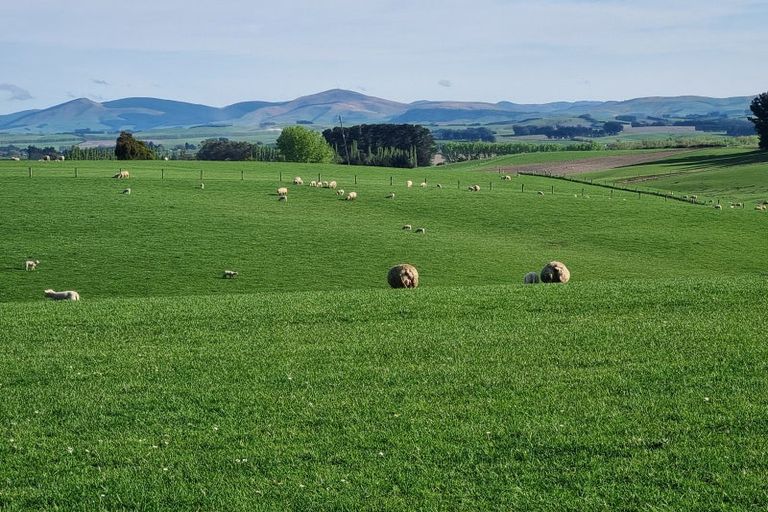 Photo of property in 1446a Clydevale Road, Clydevale, 9274