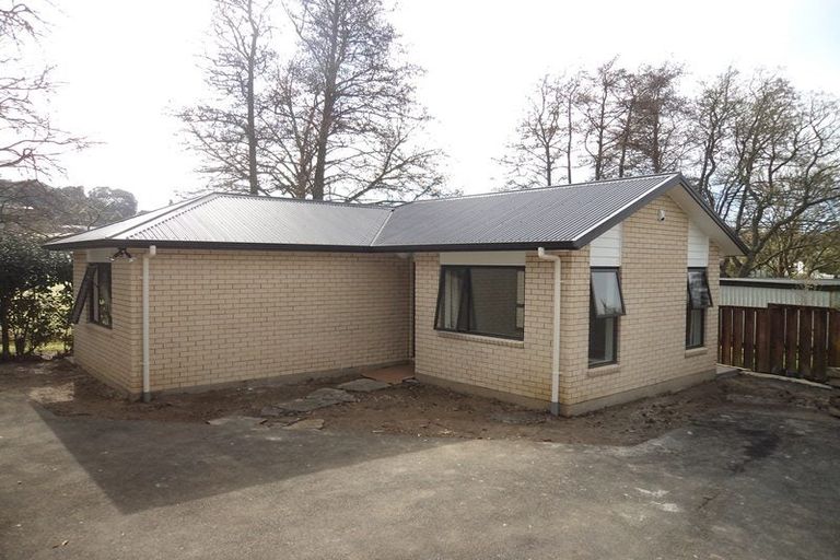 Photo of property in 25 Caernarvon Street, Dinsdale, Hamilton, 3204