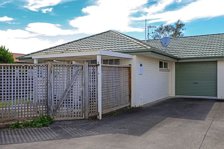 Photo of property in 405a Eastbourne Street East, Hastings, 4122