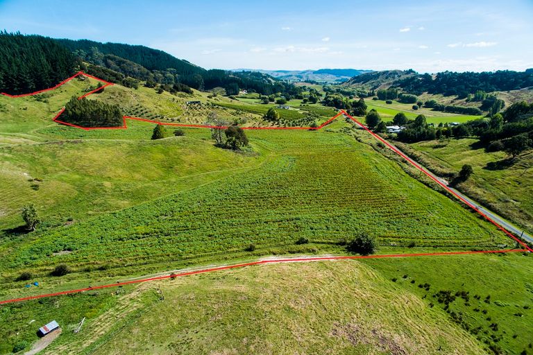 Photo of property in 236 Ormond Road, Mangapapa, Gisborne, 4010