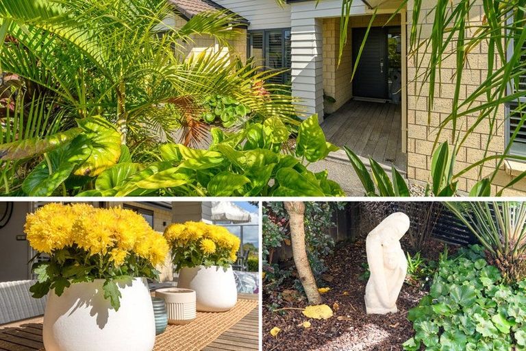 Photo of property in 48 Hawkridge Heights, Bethlehem, Tauranga, 3110