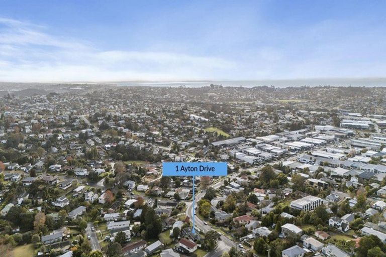 Photo of property in 1/6 Ellice Road, Totara Vale, Auckland, 0629