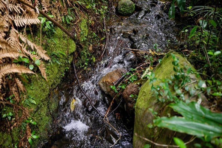 Photo of property in 1466 Russell Road, Helena Bay, Hikurangi, 0184