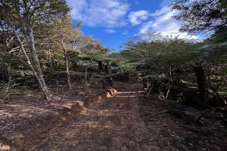 Photo of property in 211 Krippner Road, Puhoi, Warkworth, 0994