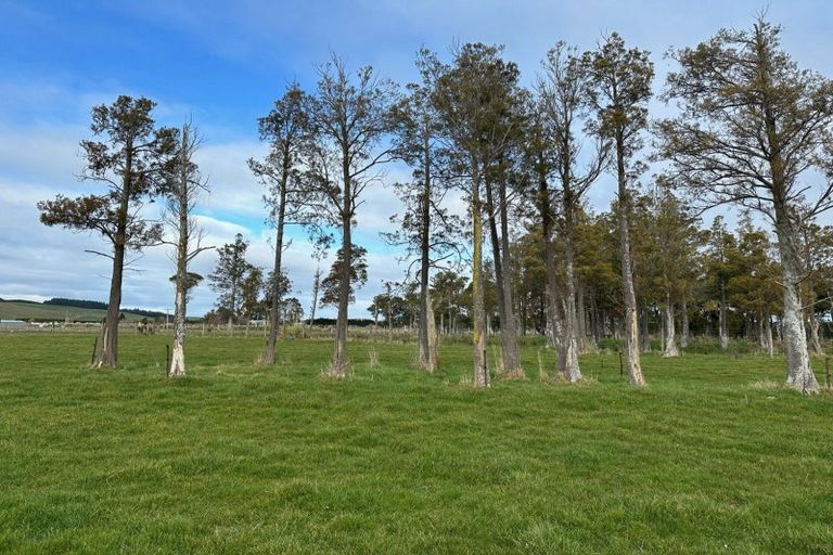 Photo of property in 38 O'brien Road, Winton, 9782