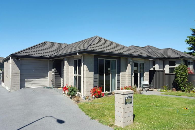 Photo of property in 12a Neplusultra Street, Cromwell, 9310