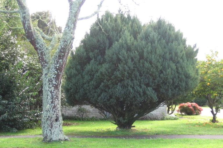 Photo of property in 20a Bremworth Avenue, Dinsdale, Hamilton, 3204