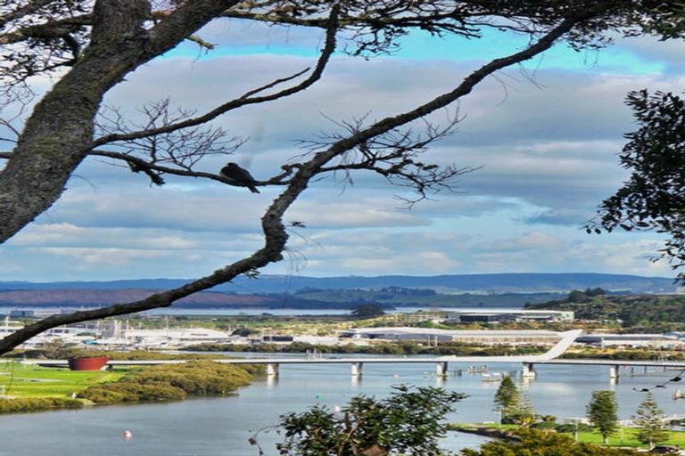 Photo of property in 52 Punga Grove Avenue, Riverside, Whangarei, 0112