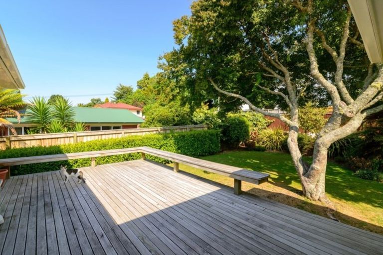 Photo of property in 114 Springfield Road, Springfield, Rotorua, 3015