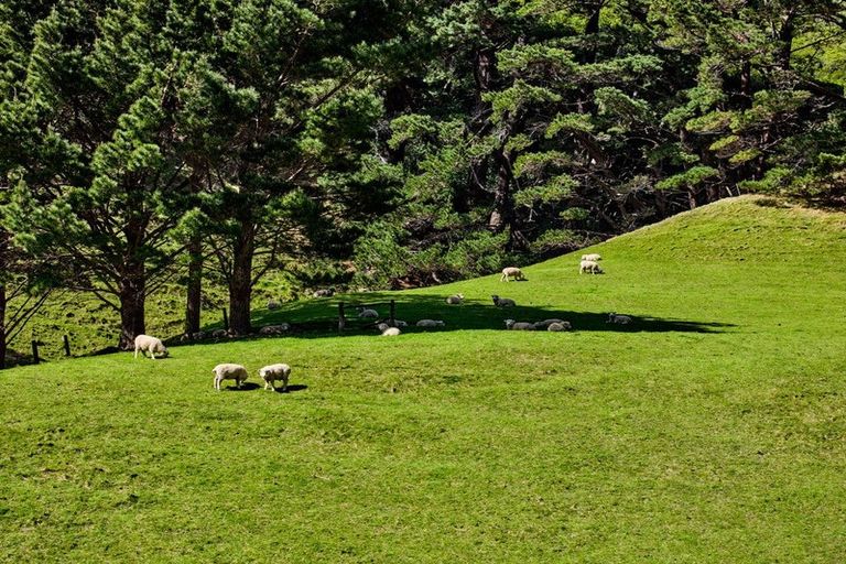 Photo of property in 850a Paekakariki Hill Road, Paekakariki Hill, Porirua, 5381