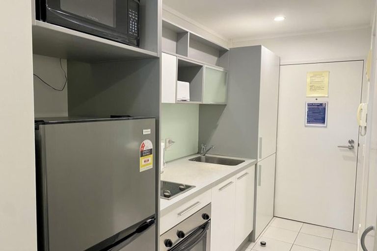 Photo of property in Luna Apartments, 1c/16 Burton Street, Grafton, Auckland, 1010