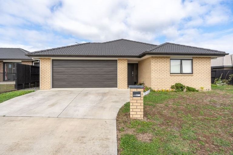 Photo of property in 16 Briannarose Drive, Fitzroy, Hamilton, 3206