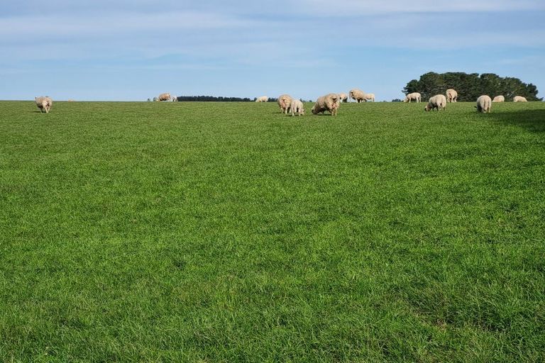 Photo of property in 1446a Clydevale Road, Clydevale, 9274