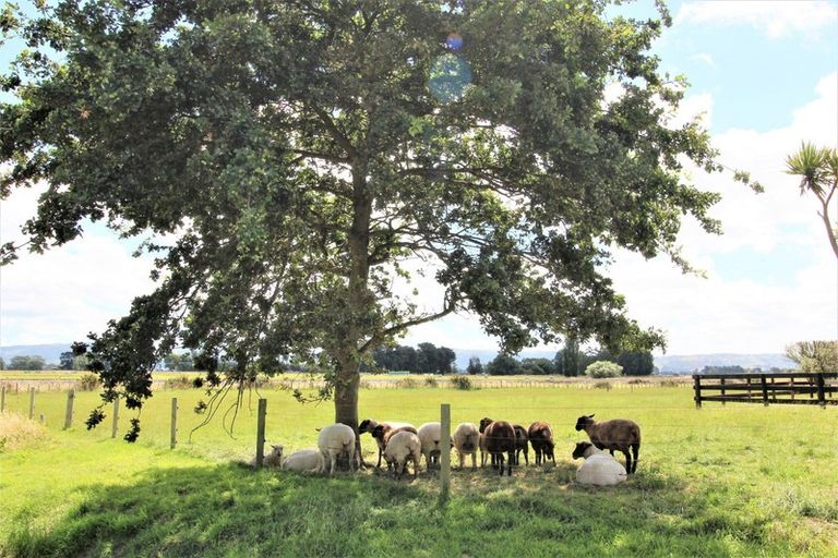 Photo of property in 509 Range Road, Woodville, 4997