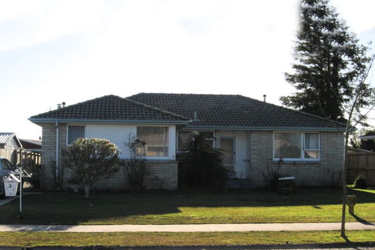 Photo of property in 3 Ryan Avenue, Chartwell, Hamilton, 3210