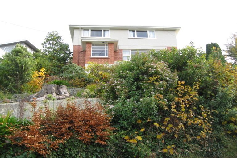 Photo of property in 20 Littlebourne Road, Roslyn, Dunedin, 9010