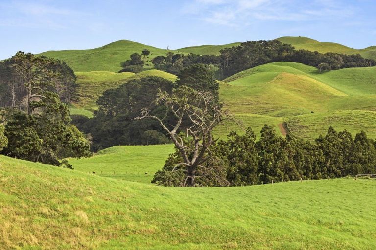 Photo of property in 214c Maioro Road, Otaua, Waiuku, 2682