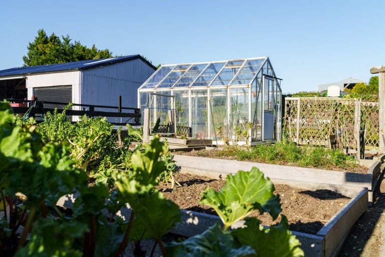 Photo of property in 739 Purakaunui Falls Road, Tarara, Owaka, 9586