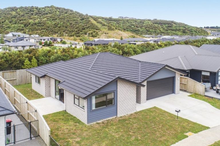 Photo of property in 43 Awataha Crescent, Pyes Pa, Tauranga, 3110