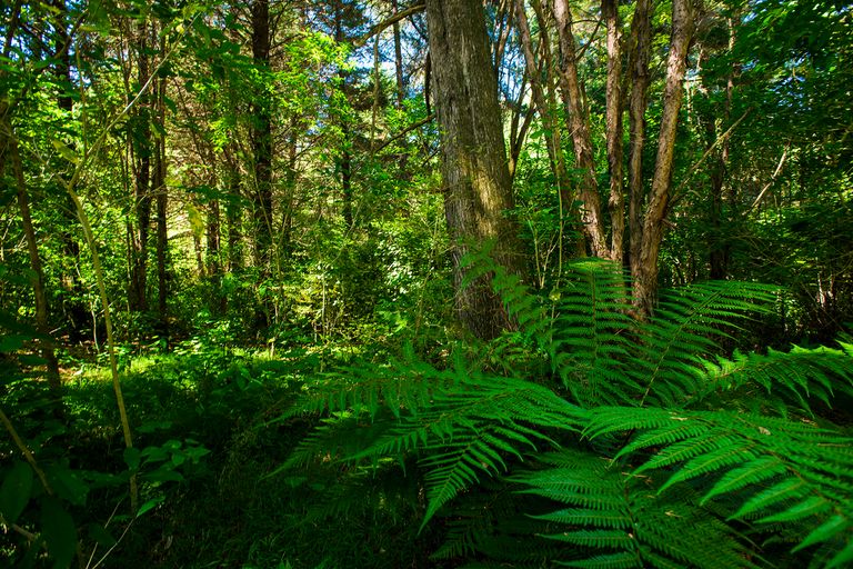 Photo of property in 1441 Waimata Valley Road, Waimata, 4073