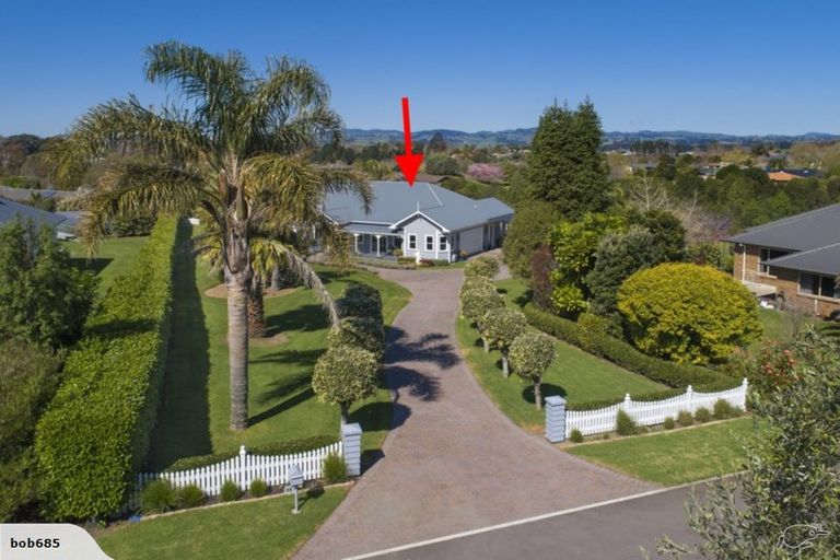 Photo of property in 45 Bradley Avenue, Pyes Pa, Tauranga, 3112