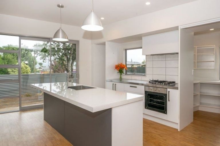 Photo of property in 59 Inkerman Street, Renwick, 7204