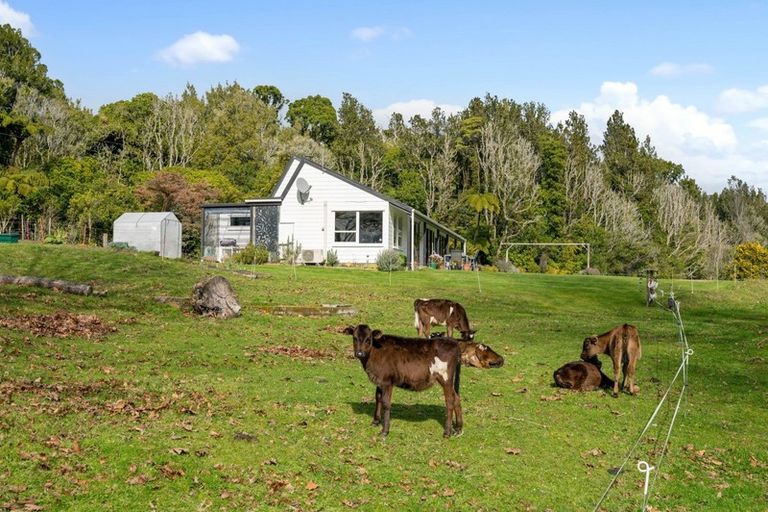 Photo of property in 21a Hamilton Road, Lake Rotoma, Rotorua, 3074