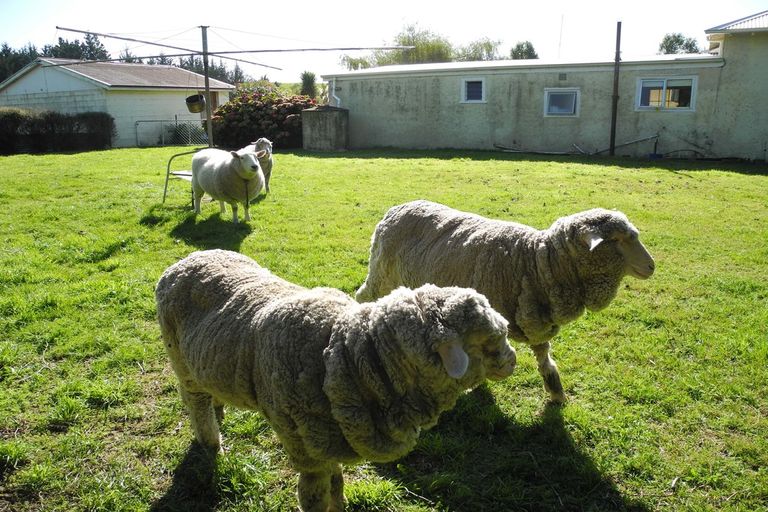 Photo of property in 13 Queens Terrace, Waimate, 7978