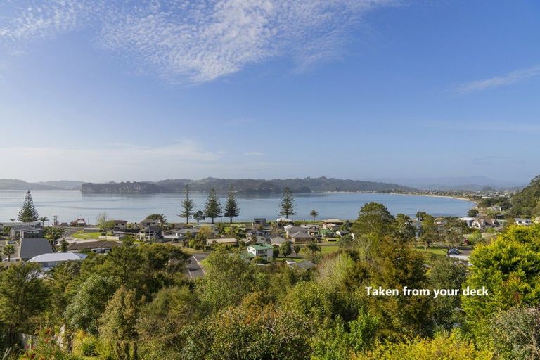 Photo of property in 13 Punga Place, Whitianga, 3510