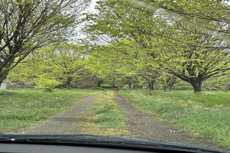 Photo of property in 51 Oak Street, Masterton, 5810