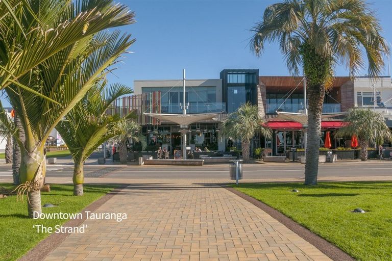 Photo of property in 155 Edgecumbe Road, Tauranga South, Tauranga, 3112