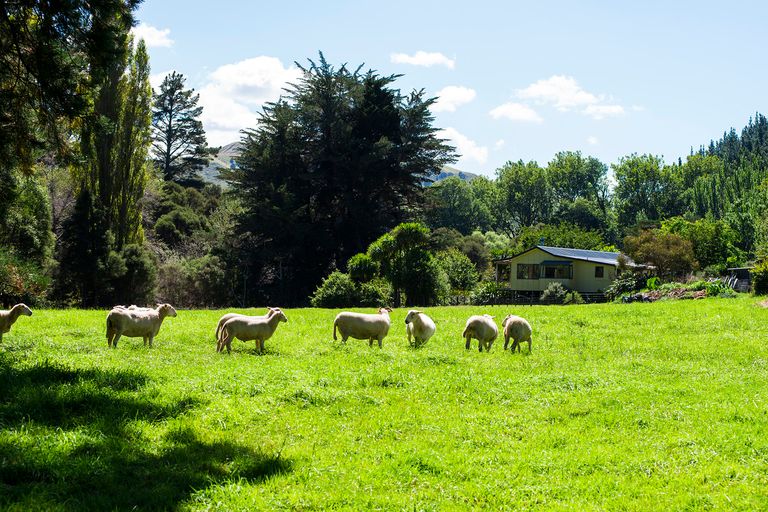 Photo of property in 1441 Waimata Valley Road, Waimata, 4073