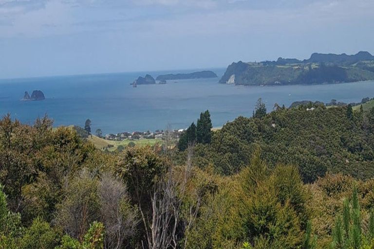 Photo of property in 57 Tarapatiki Drive, Whitianga, 3510