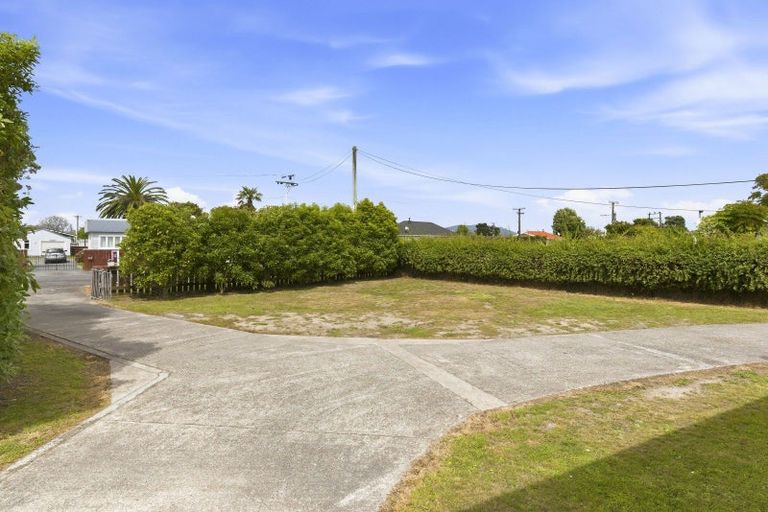 Photo of property in 21 Lemon Street, Otaki, 5512