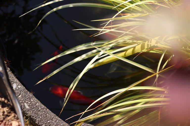 Photo of property in 54 Kennedy Drive, Levin, 5510