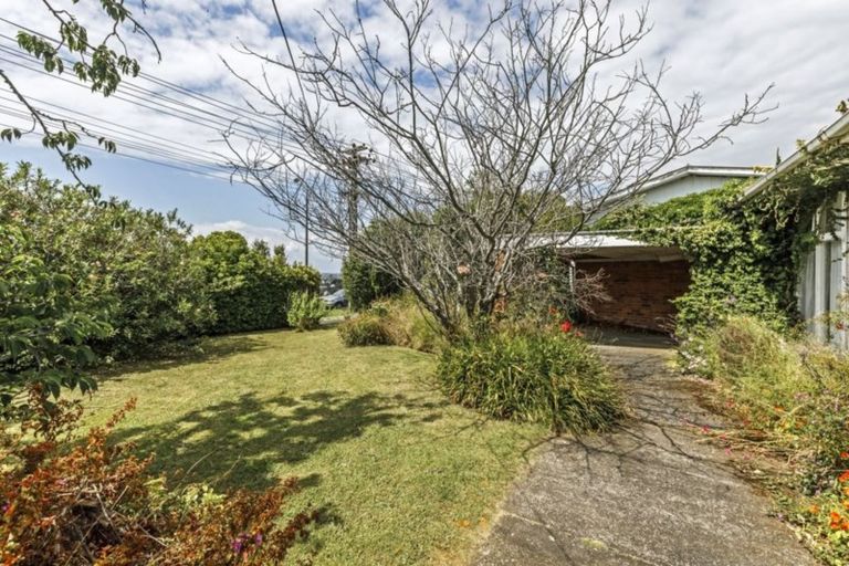 Photo of property in 156 Sunset Road, Unsworth Heights, Auckland, 0632