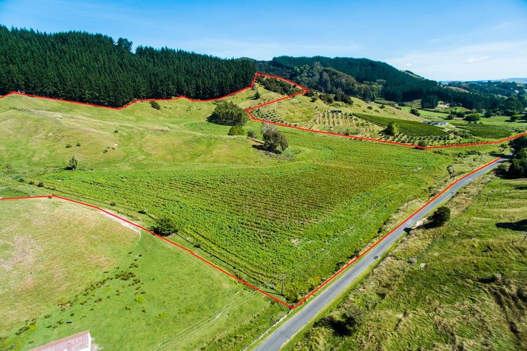 Photo of property in 236 Ormond Road, Mangapapa, Gisborne, 4010