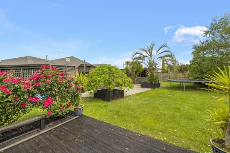 Photo of property in 19 Holford Place, Huntington, Hamilton, 3210