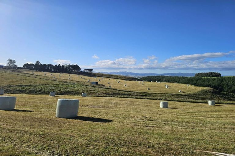 Photo of property in 447 Waddle Road, Waikana, Gore, 9772