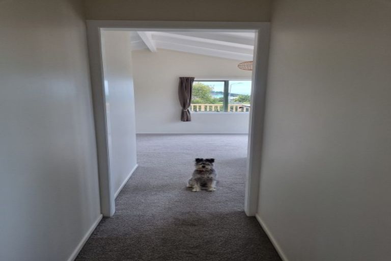 Photo of property in 21 Mariner Cove Road, Tinopai, Matakohe, 0593