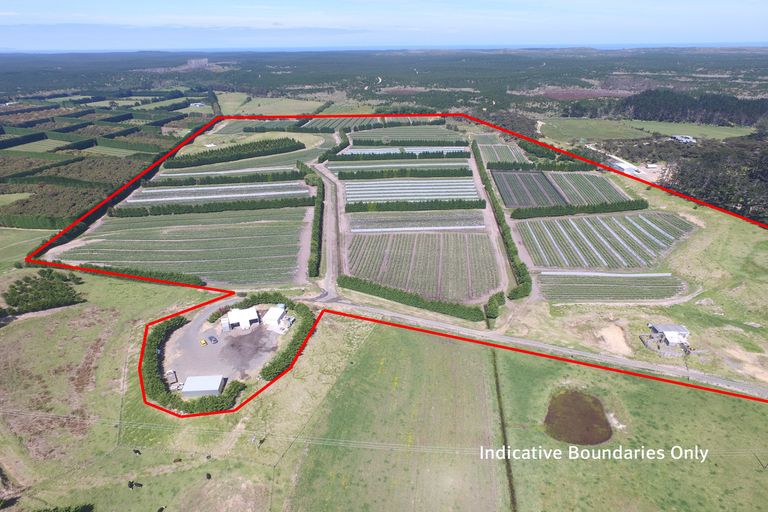 Photo of property in 3167 State Highway 1, Pukenui, Kaitaia, 0484