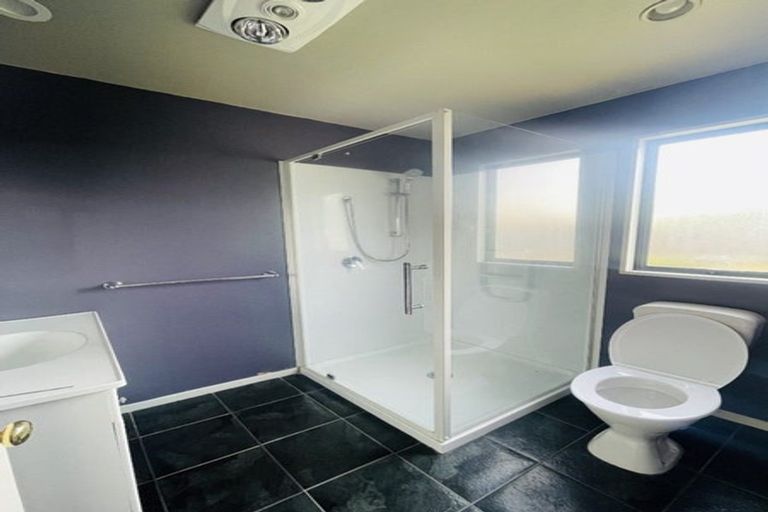 Photo of property in 20 Ballymena Drive, Belfast, Christchurch, 8051