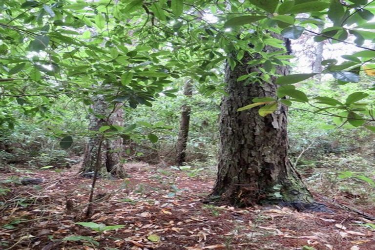 Photo of property in 504b Wairere Road, Maungaturoto, 0571