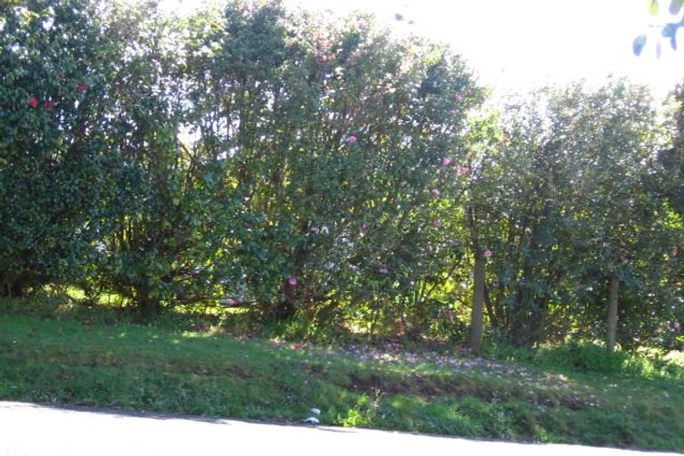 Photo of property in 22 Wakelin Street, Te Kamo, Whangarei, 0112