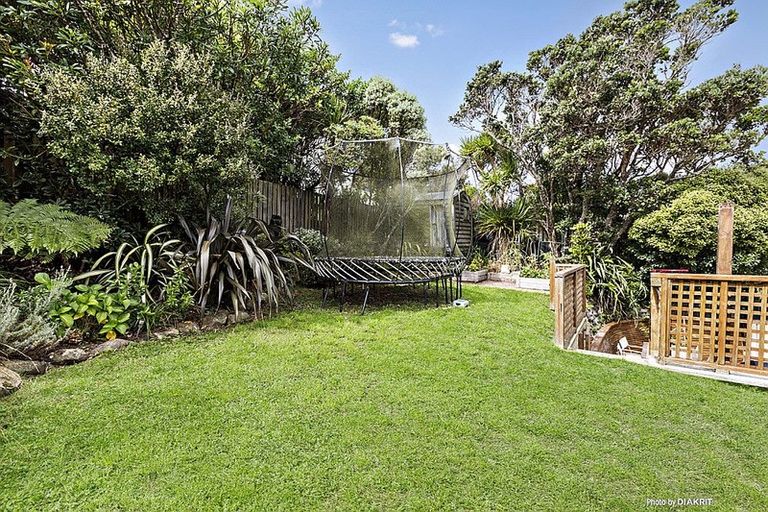 Photo of property in 51 Bedford Street, Northland, Wellington, 6012