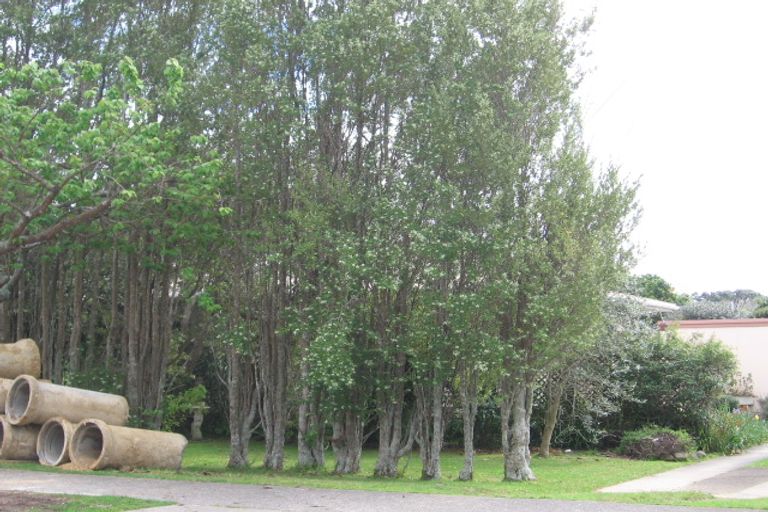 Photo of property in 71 Milton Road, Otumoetai, Tauranga, 3110