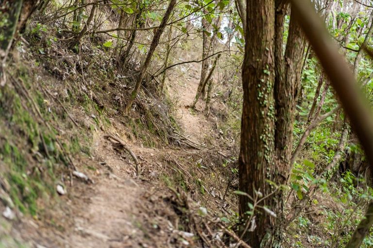 Photo of property in 105b Bradey Road, Pauatahanui, Porirua, 5381