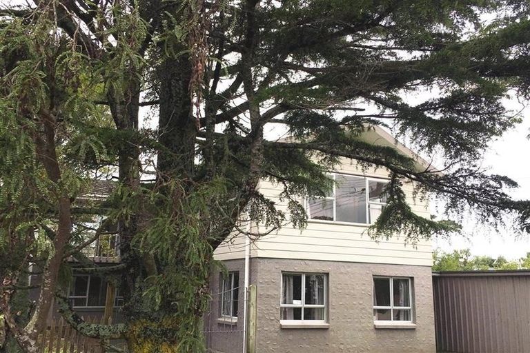 Photo of property in 11 Epping Road, Henderson, Auckland, 0610